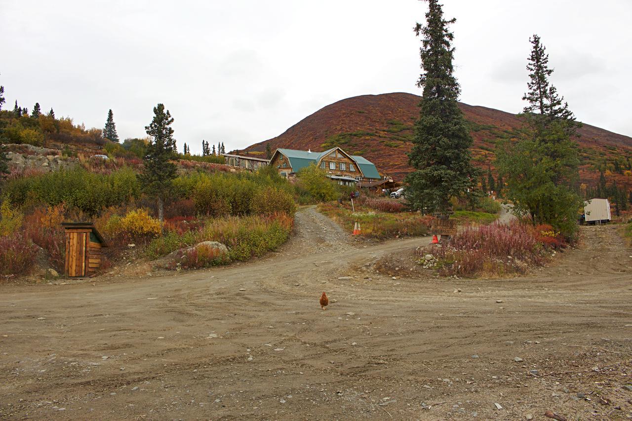 Alpine Creek Lodge Cantwell المظهر الخارجي الصورة